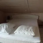 Bueffel Mit Sauna In *