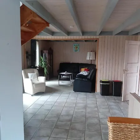 Bueffel Mit Sauna In Twist Neuringe